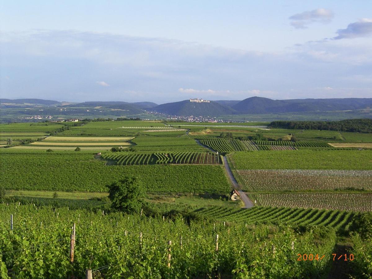 Asbacher Klosterkeller Stratzing Zewnętrze zdjęcie